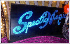 Specto Magic Parade at Magic Kingdom